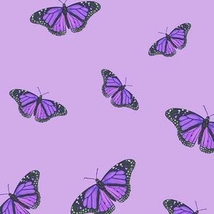 Meet your Posher, Sofia